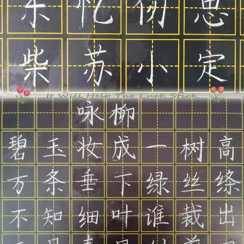 勤耕不辍——成长篇（十四）