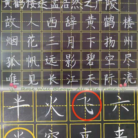 脚踏实地，学以致远——成长篇（十五）