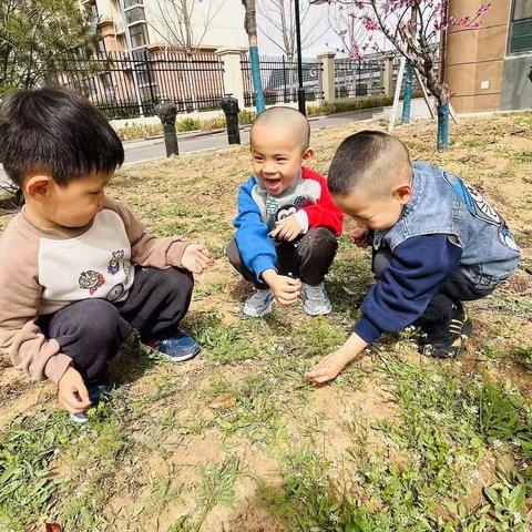 花花世界———长清区平安中心幼儿园小班主题活动