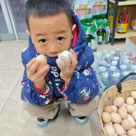 奇妙蛋宝宝——济南市长清区平安中心幼儿园中二班主题活动