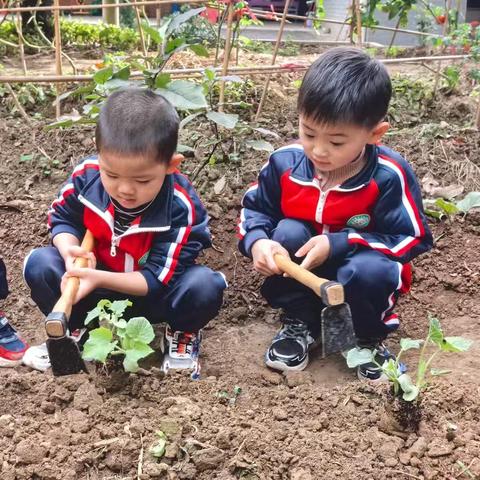 植此新绿，拥抱春天——睦洲镇中心幼儿园南镇园区植树节活动