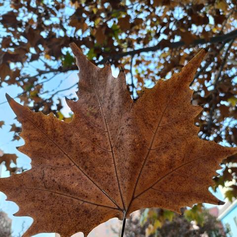 皮山县启智幼儿园 ﻿温馨提示