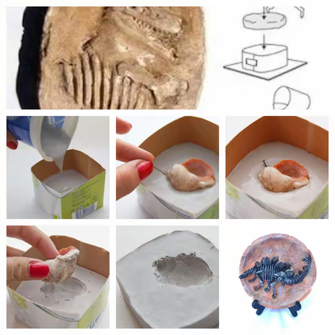 自制恐龙化石，探索史前奥秘