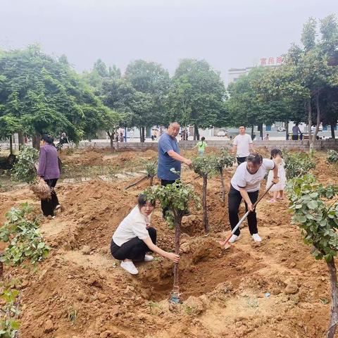 【共建共享星】富民路社区开展“绿化环境，美化人生 ”植树活动