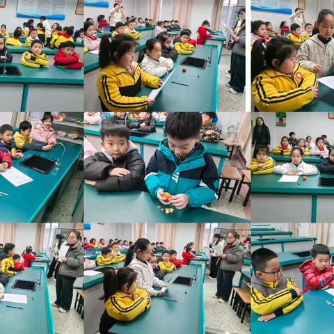 创美科学 素养绽放 ——北辛街道中心小学科学核心素养测评圆满完成