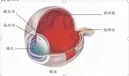 五年级下科学知识点汇总