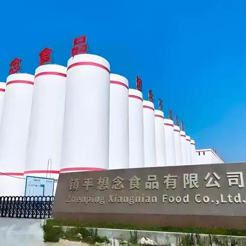 镇平县自然资源局：急企业之所急 跑出“营商”加速度