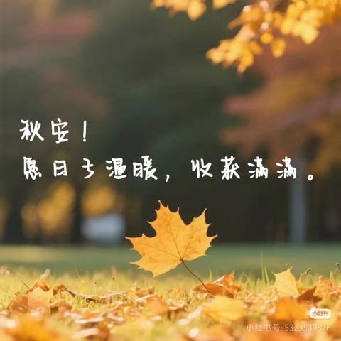 青鲁湖.尚城 8月物业服务月报