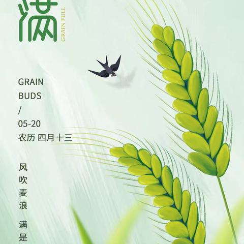 龙井明日环境月工作动态（4月27日—5月27日）