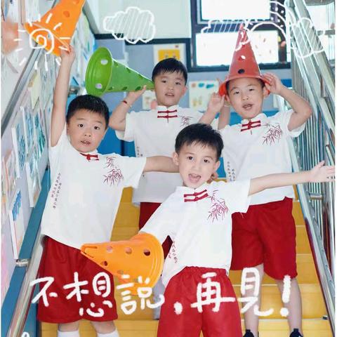 仲夏梦想，点亮未来——高新九幼大二班期末总结