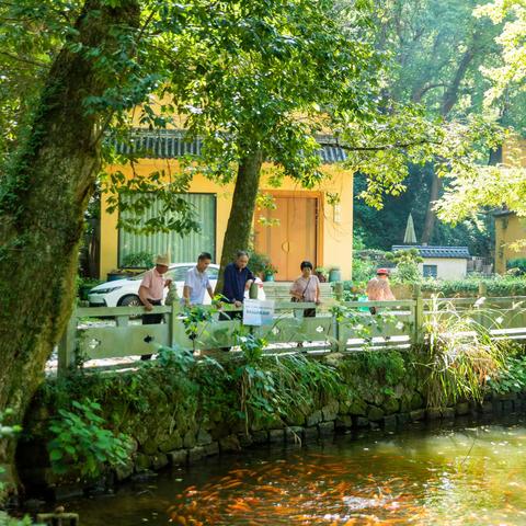 ① 情定绿军装 聚会黄龙山——2024年原浙江省军区独立师一团缙云籍战友会(第二届)