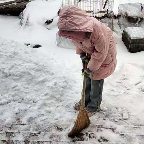 西曲河小学家校共育劳动篇--扫雪