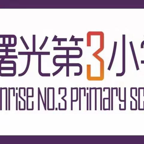 关爱学生 幸福成长 · 五育并举篇｜回望历史，展望未来——丛台区曙光第三小学二（6）中队社会实践活动