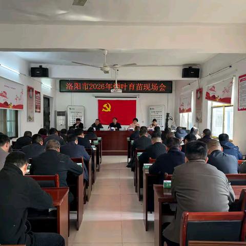 “人勤春来早，育苗正当时” ---洛阳市烟叶育苗现场会在洛宁召开