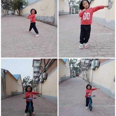 【德城·区幼】探秘胡同——中五班生活课程