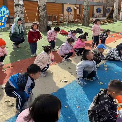 莘迪幼儿园中三班11🈷️活动集锦