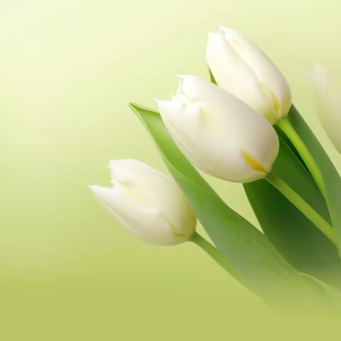 武穴市第六实验小学文昌校区开学温馨提示