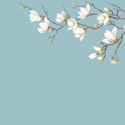 文昌校区2024年清明节放假通知及安全提醒