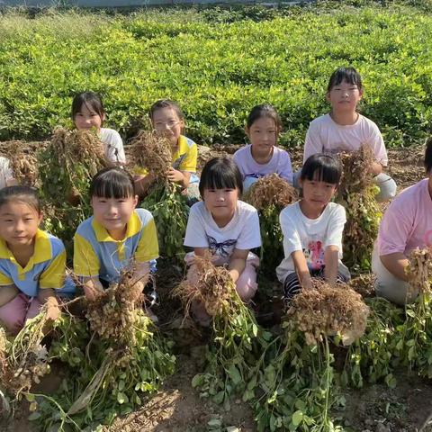 劳动励心智，实践促成长——西九吉学区刘村中心小学劳动实践活动