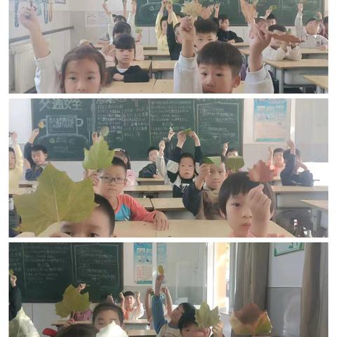 捡一片树叶画秋天——西九吉学区刘村中心小学