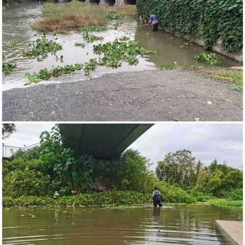 壶山街道:巡河护碧水，常态不松懈