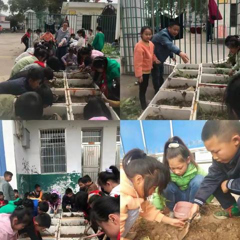 治河中心小学“学雷锋”“植树节”活动纪实