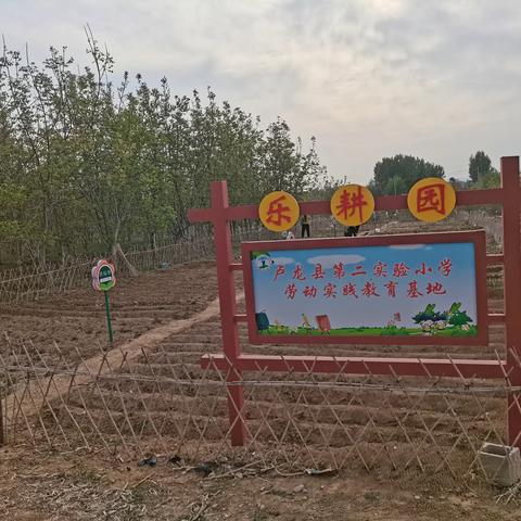 卢龙县第二实验小学太空种子种植实践活动