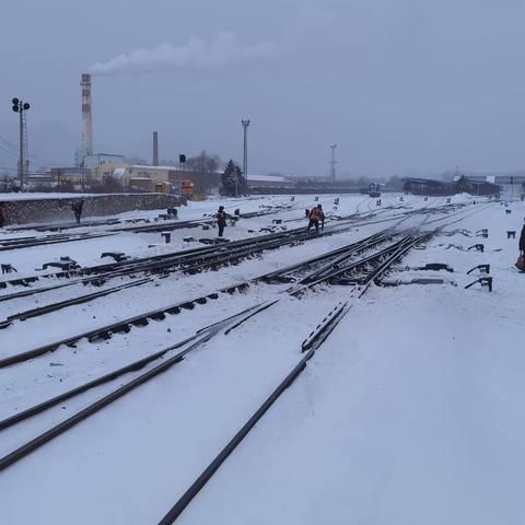 除雪善后保运输