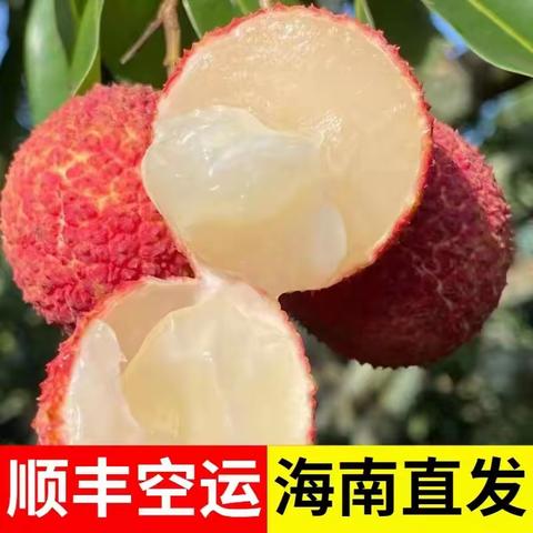 5月19日开园啦 湘商国际“海花荔”无核荔枝开启最美盛宴