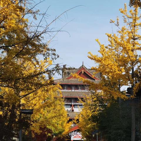 从来山间寻秋色，那得身边随意闻