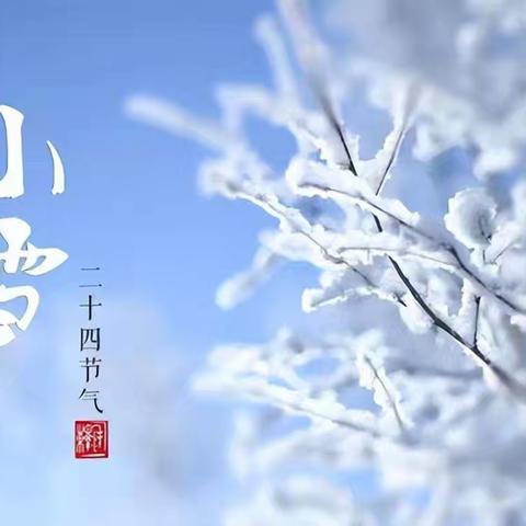 《二十四节气--小雪》——新城区幼儿园主题升旗活动