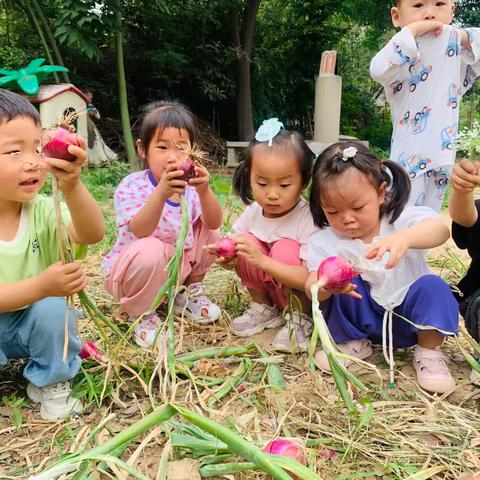 “洋”光娃～“葱”明旅——小豆豆小二班