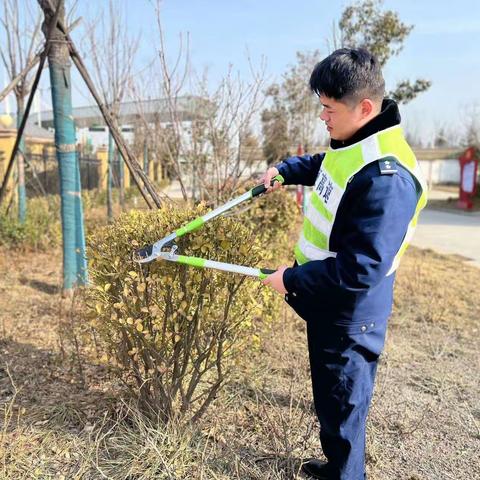 植树添新绿，不负好春光！