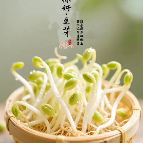 “一颗豆芽的奇妙成长”─五原县第一小学五三班寒假特色实践全记录