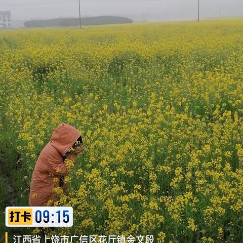 时光恰好，遇见春天                  ——花厅居委会童心港湾“寻找春天”主题活动