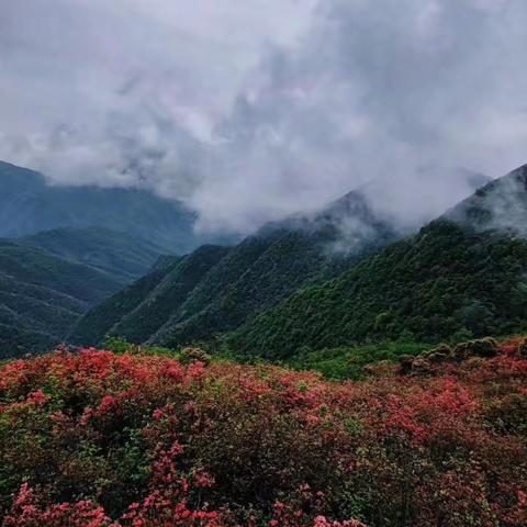 游广寒寨