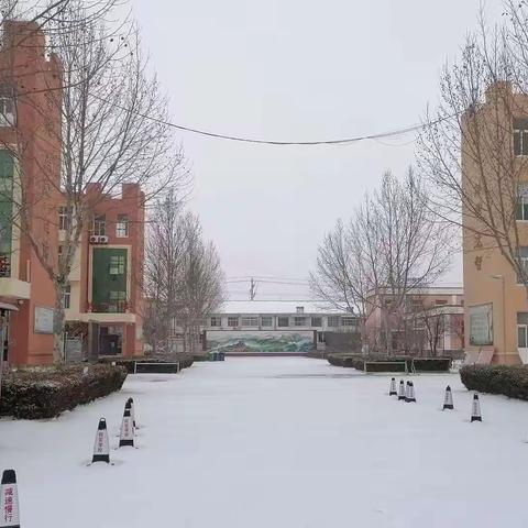 瑞雪纷飞满校园，清除冰雪迎开学—青州市何官学校开展校园除雪行动