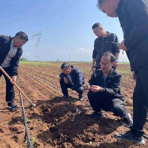 种植培训到田间 技术指导助生产