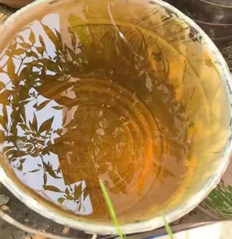 小区里这种水千万别用，请直接倒在地上！（不要倒进下水道）
