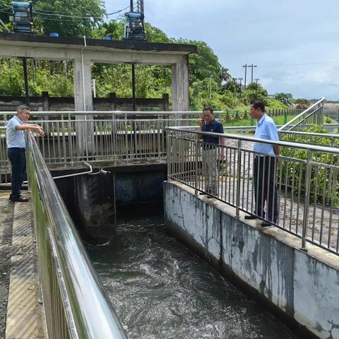 乐东县水务局加快推进九所镇鸭母沟黑臭水体治理工作