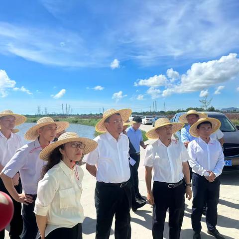 海南省水务厅调研督导组到乐东县佛罗溪开展水环境治理调研督导