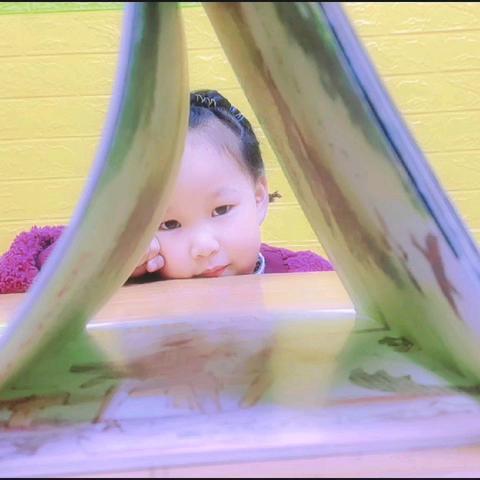 ✨我们是大班的小朋友啦🎉！！（第十篇）