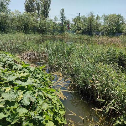 夏季防溺水宣传