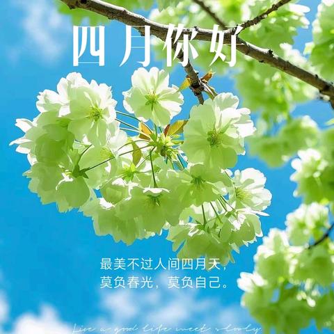 四月春风来🌿人间四月天❤️ 流渡镇第二幼儿园大二班 4🈷️份美篇