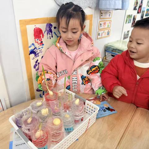 小三班第16周教学活动