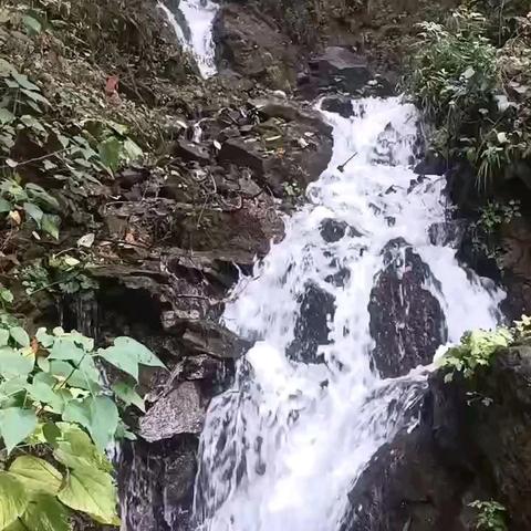 入周山至水怀抱，赏家乡山水之美 ——恒州小学秋季研学旅行