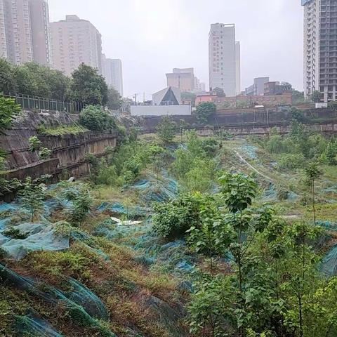 防汛工作  以“雨”为令