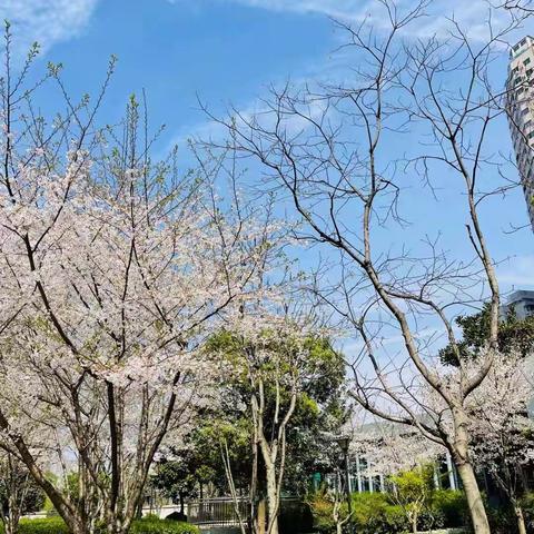 融科天城四期三月份服务报告