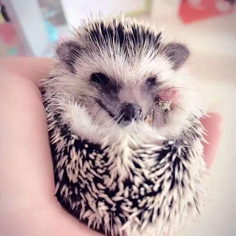 石婧霖劳动作业