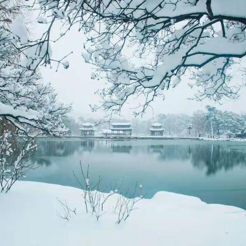 【八年四班  石婧霖】冬雪